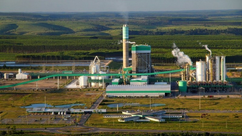 Imagem da Veracel generica