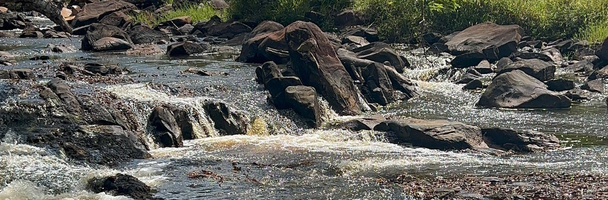 Rio Sauípe - Foto - Gleison Rezende - Acervo Bracell