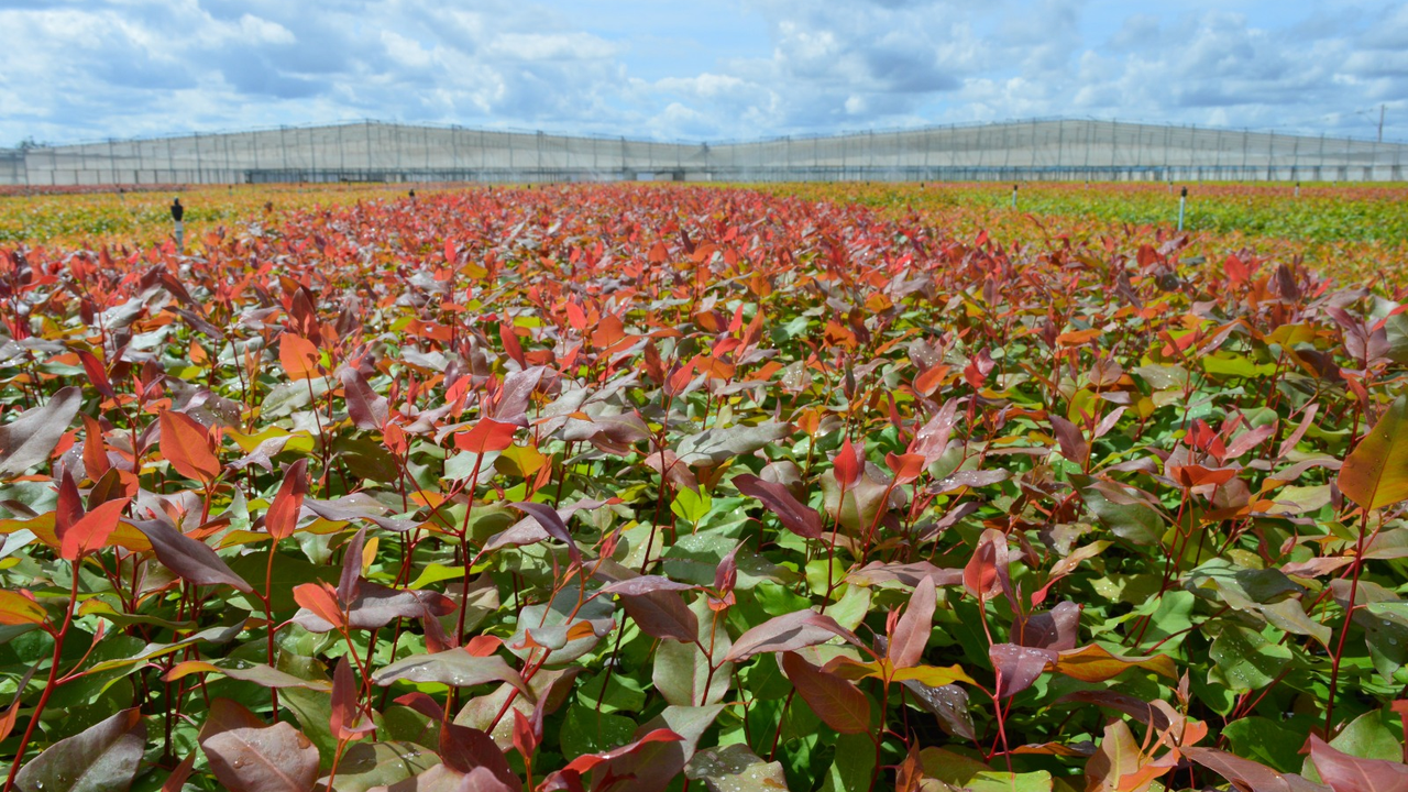 WhatsApp Image 2026-03-23 at 11.05.45 AM