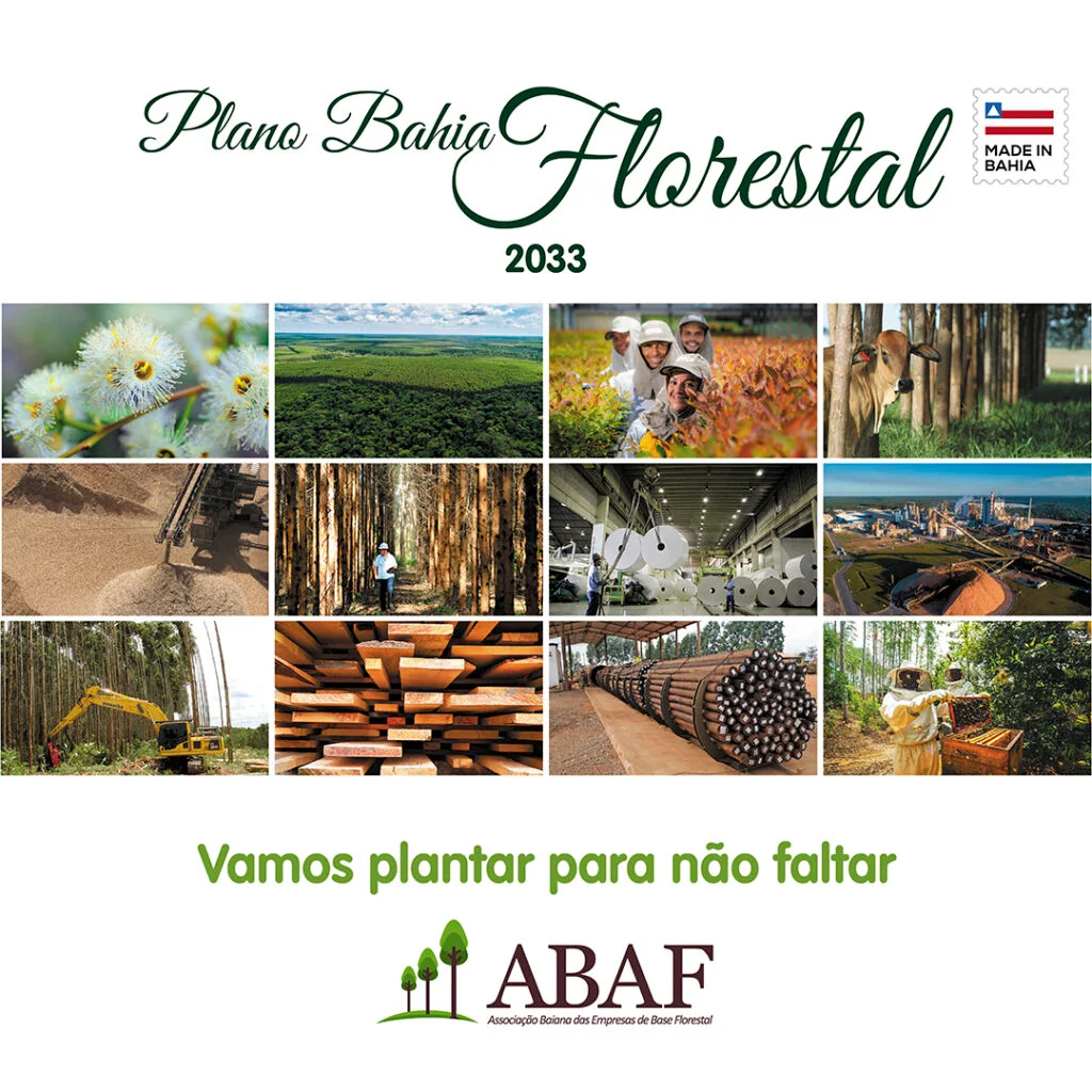 BANNER_BAHIA-FLORESTAL_FEED-1024x1024-1