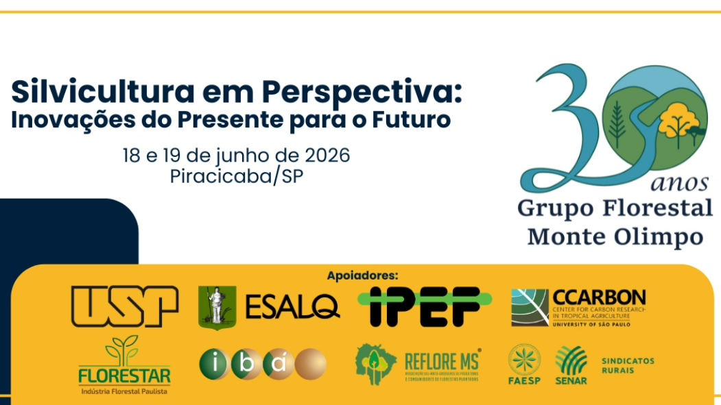 Captura de tela 2026-06-17 102413