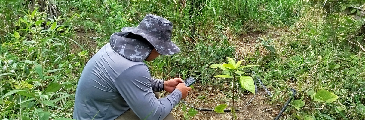 Crédito_iNovaland®