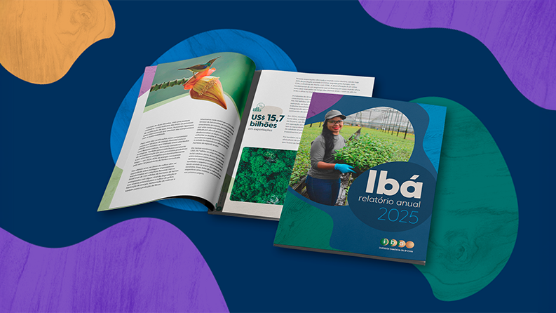 IBÁ relatório anual 2025