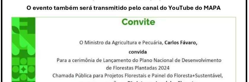Lançamento do Plano Nacional de Desenvolvimento de Florestas plantadas 2024