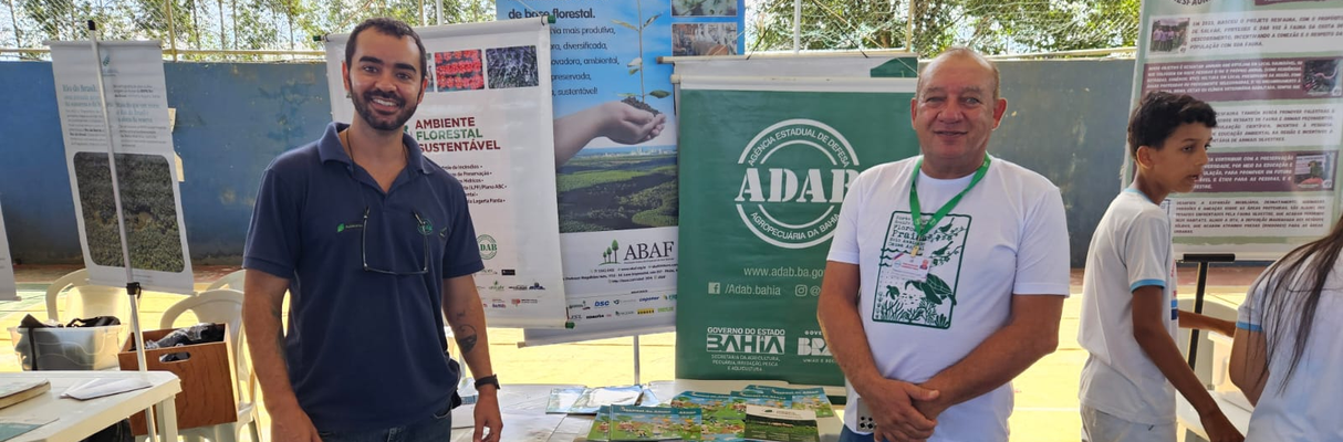 Pafs_Porto Seguro (3) (1)