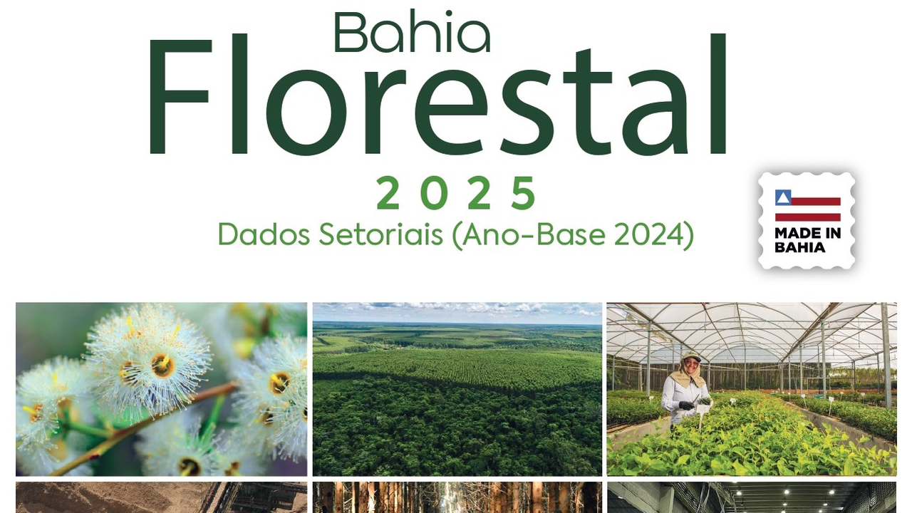 Relatório Bahia Florestal 2025_capa