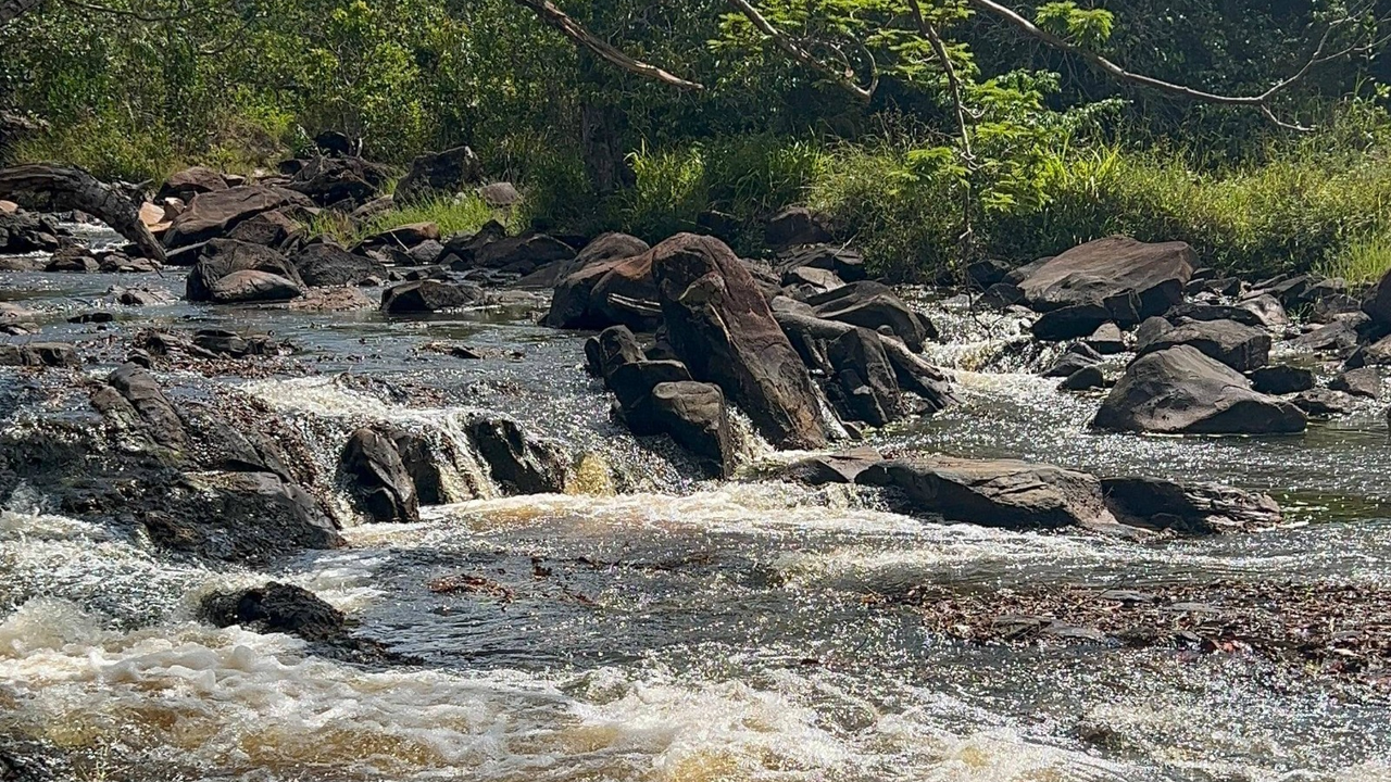Rio Subaúma - Foto -Gleison Rezende -Acervo Bracell