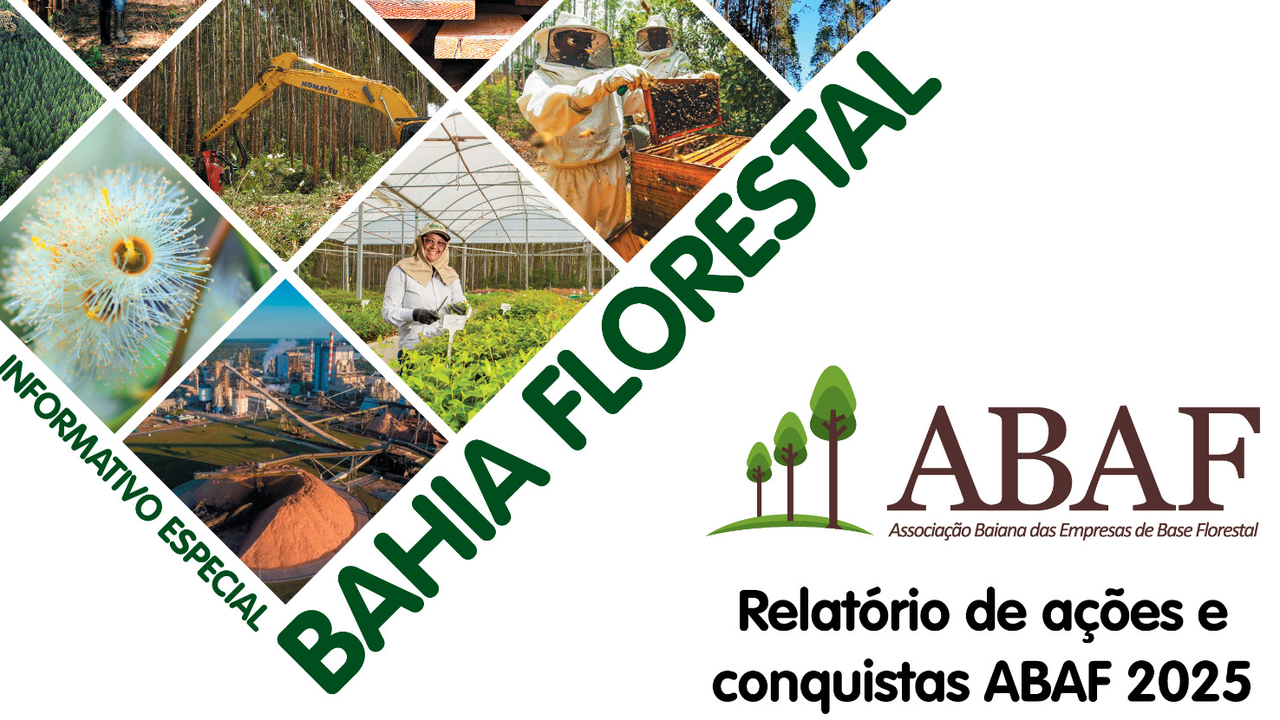Bahia Florestal Especial - Relatório de Ações ABAF 2025