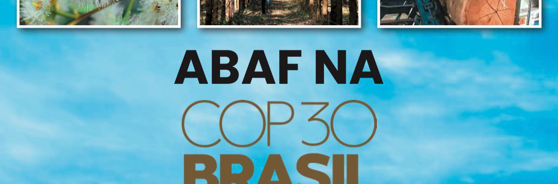 Abaf na COP30