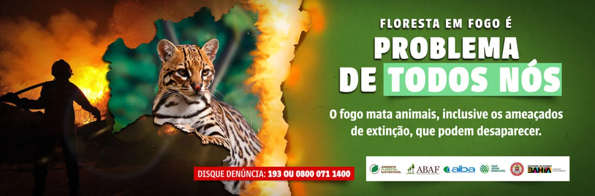 campanha-incendio-1280x427