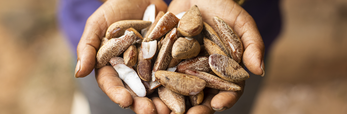 legenda - divulgação Suzano