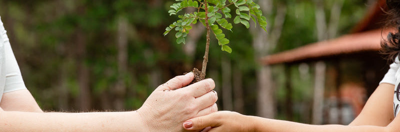 plantio Veracel 2022 (2)