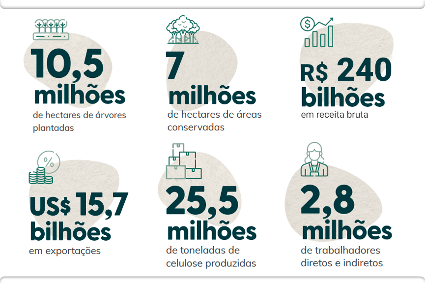 Relatório Anual IBÁ 2025