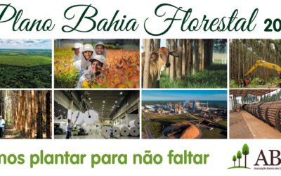 ABAF desenvolve o Plano Bahia Florestal 2033