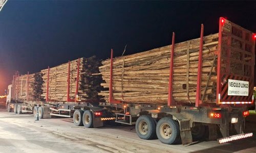 Segurança no trânsito: Veracel destaca cuidados com o transporte de madeira