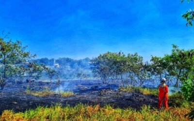 Onda de calor: alerta máximo para incêndios no Extremo Sul da Bahia