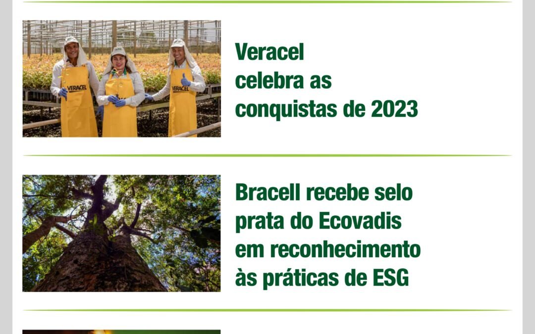 Informativo ABAF – Bahia Florestal (jan 2024)