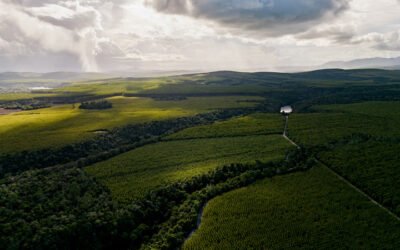 Fórum Florestal da Bahia atualiza a plataforma de monitoramento de uso e cobertura do solo