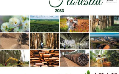 ABAF completa 20 anos celebrando a construção do Plano Bahia Florestal 2033 com o Governo do Estado da Bahia
